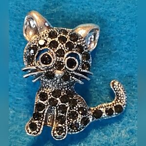 Black cat brooch